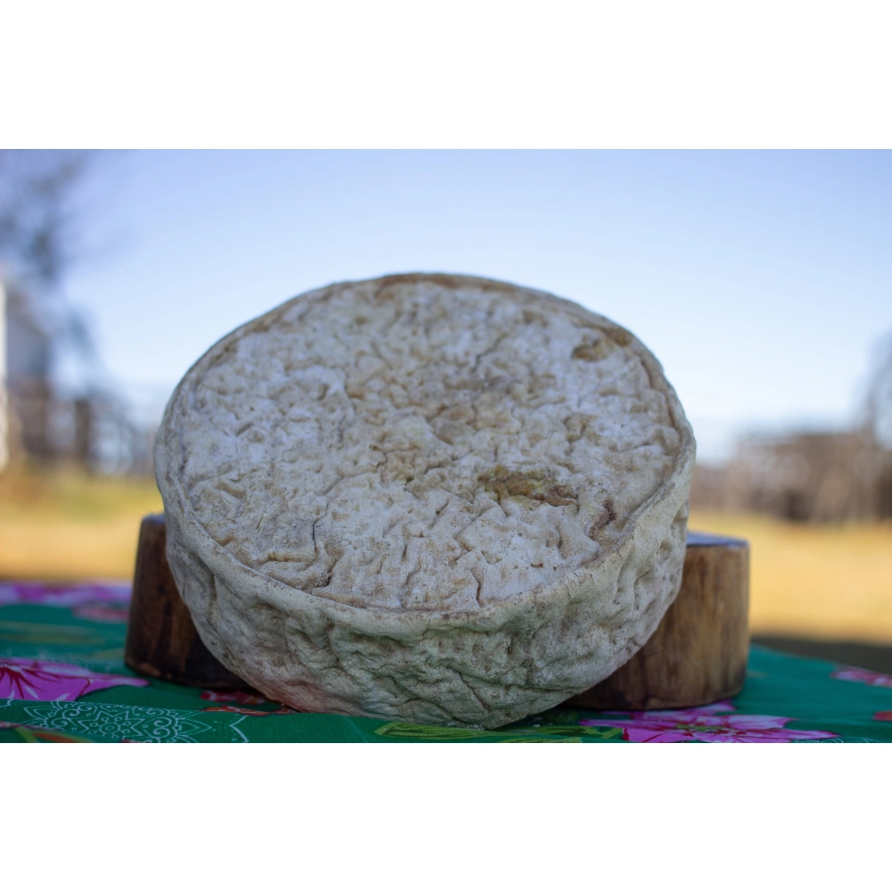 Queijo Coxilha