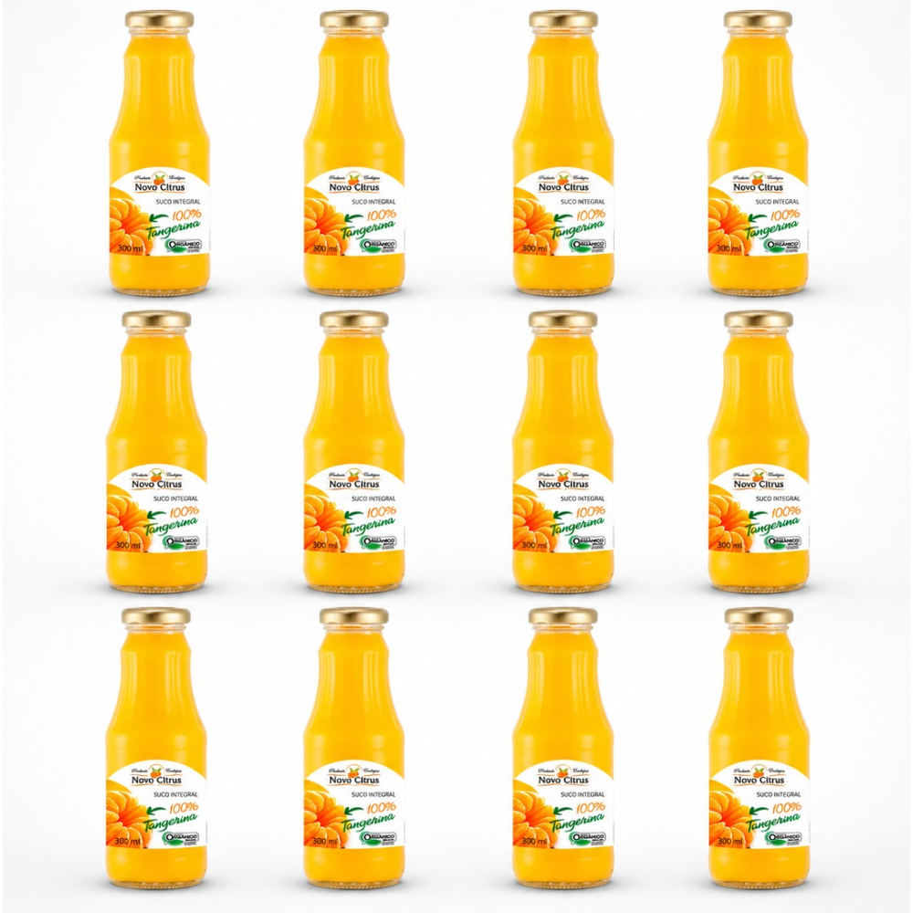 SUCO DE TANGERINA NOVO CITRUS 300 ml CX